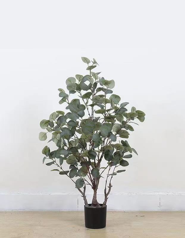 Verda Potita Eŭkalipto Granda Planto Simula Arbo