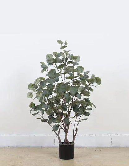 Verda Potita Eŭkalipto Granda Planto Simula Arbo