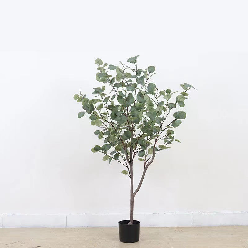 Verda Potita Eŭkalipto Granda Planto Simula Arbo