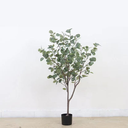 Verda Potita Eŭkalipto Granda Planto Simula Arbo