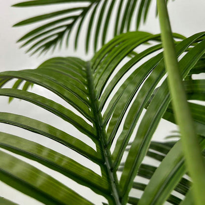 Simulita Kokosa Arbo Ornamaj Potitaj Grandaj Plantoj