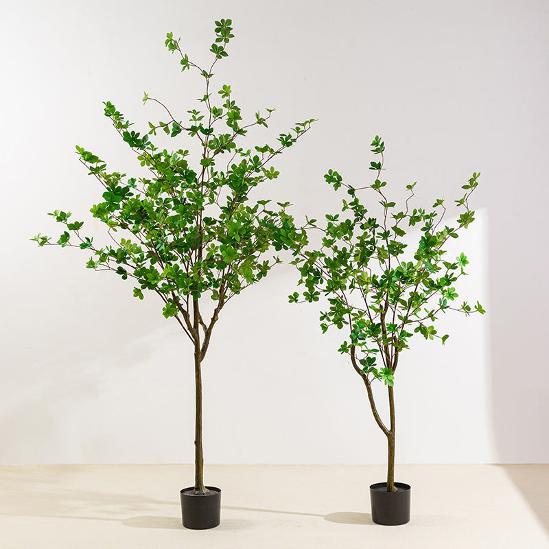 Simulita Sonorila Arbo Planto Potita Endoma Hejma Planka Dekoracio