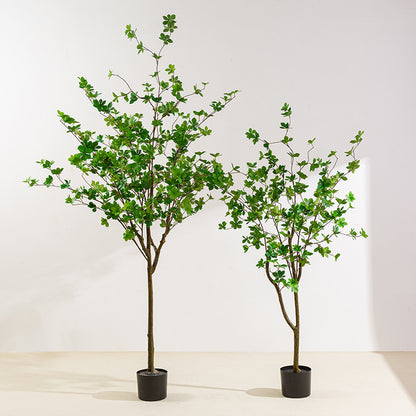 Simulita Sonorila Arbo Planto Potita Endoma Hejma Planka Dekoracio