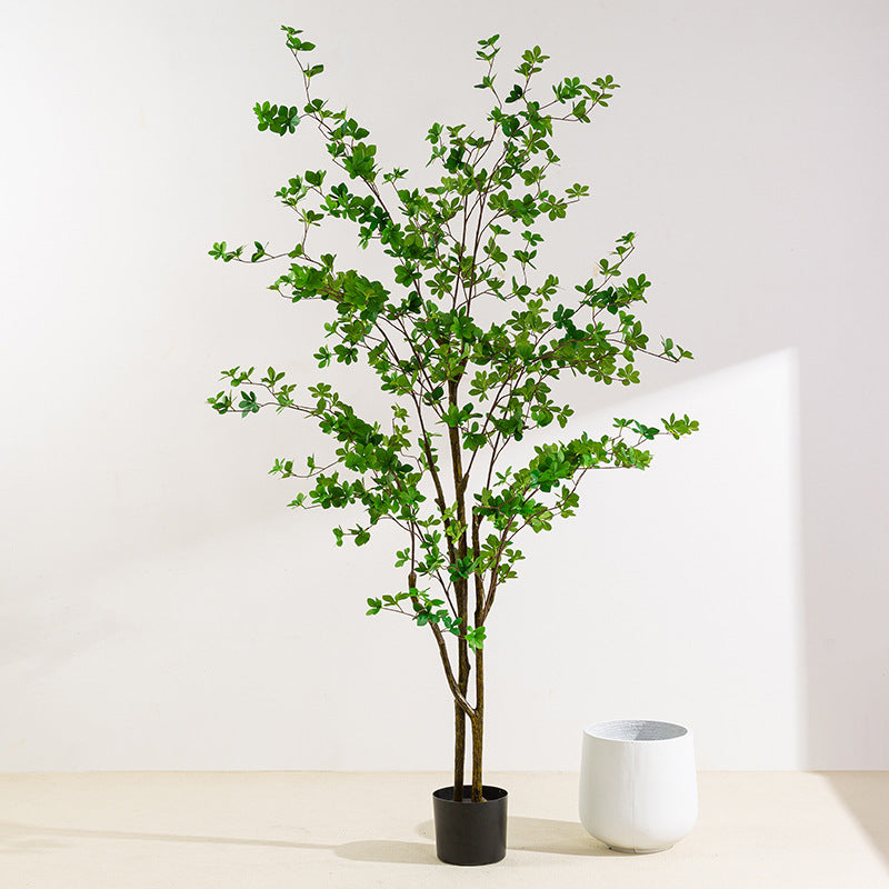 Simulita Sonorila Arbo Planto Potita Endoma Hejma Planka Dekoracio