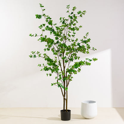 Simulita Sonorila Arbo Planto Potita Endoma Hejma Planka Dekoracio