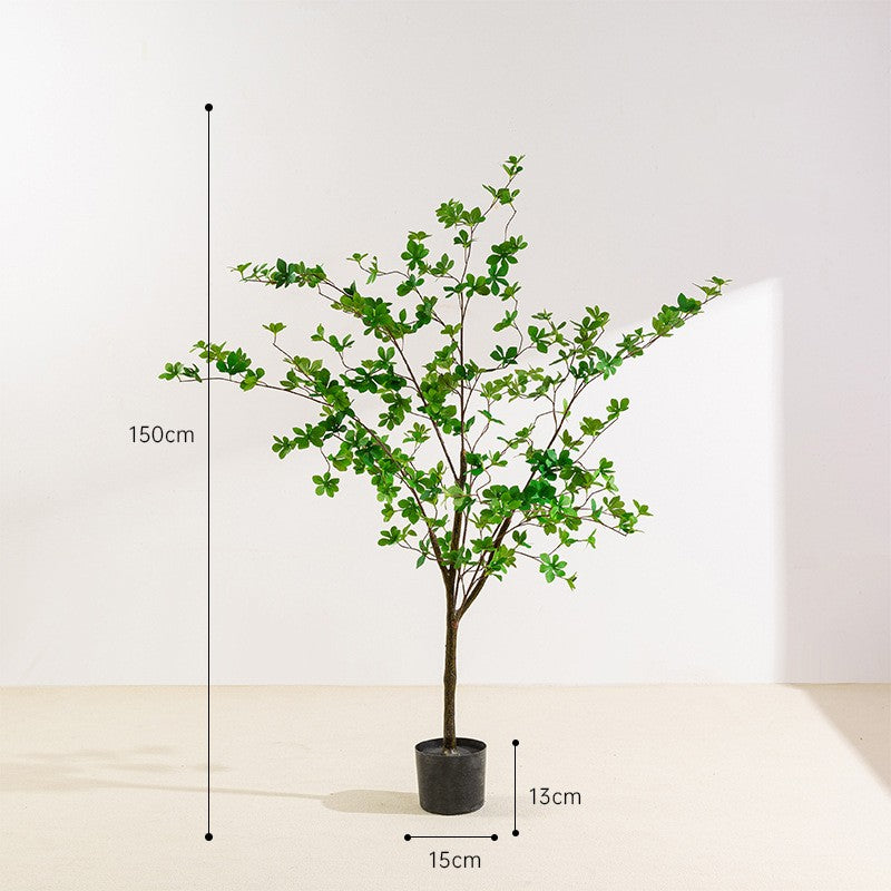 Simulita Sonorila Arbo Planto Potita Endoma Hejma Planka Dekoracio