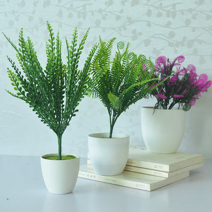 Multiple Outdoor Simulation Plant Walls