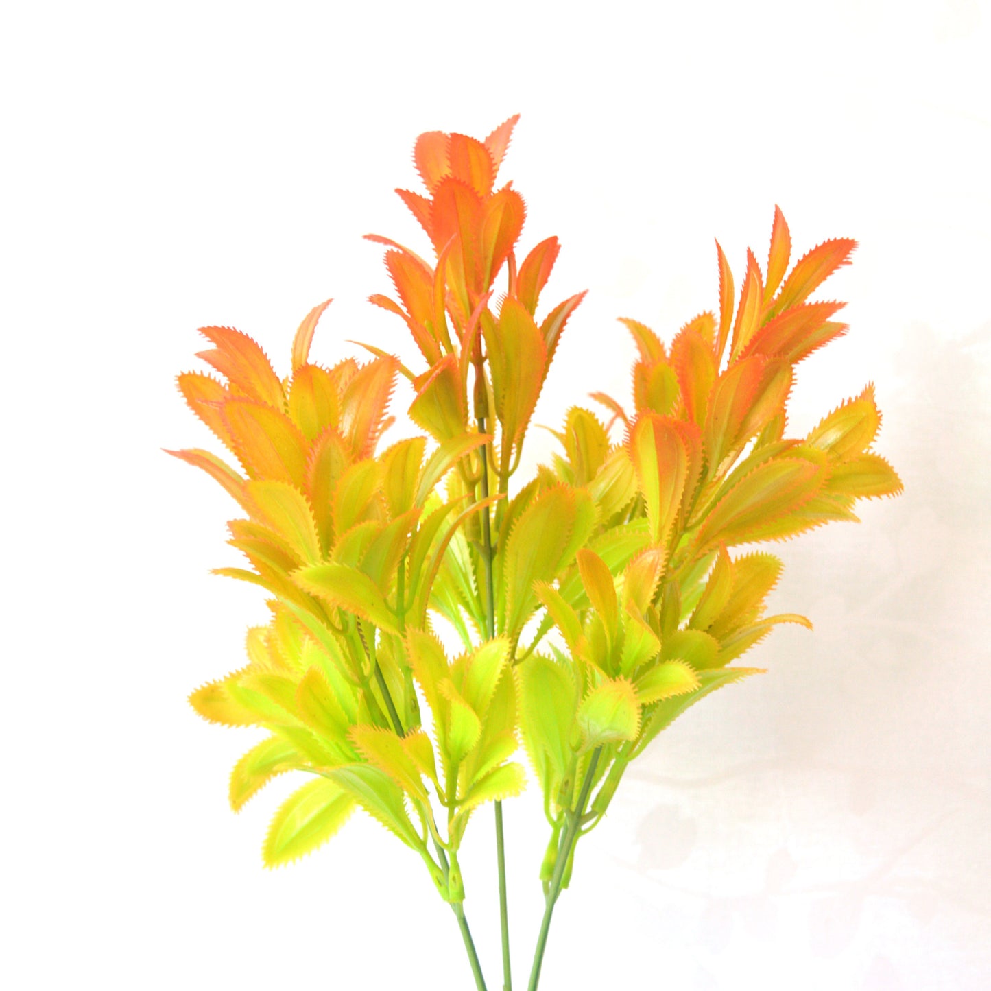 Multiple Outdoor Simulation Plant Walls