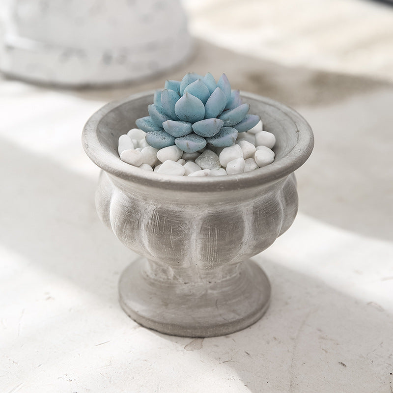 Kreiva Flora Aranĝa Aparato Por Trofeopotoj