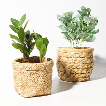 Kreiva Cementa Metia Florpoto