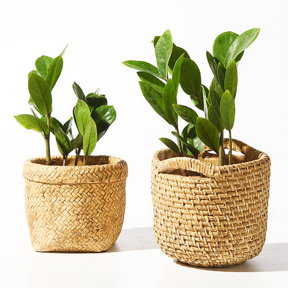 Kreiva Cementa Metia Florpoto