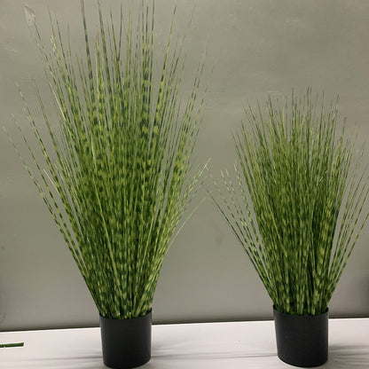 Simulation Of Striped Grass Potted Plant