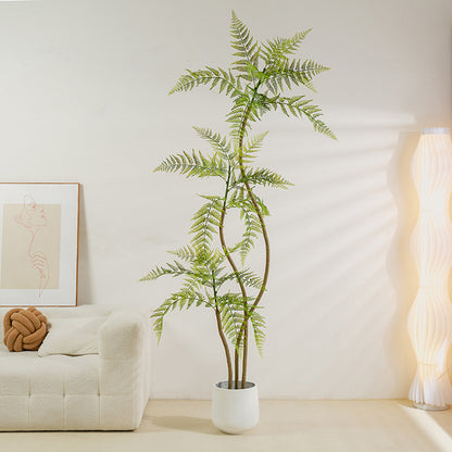 Simulated Plant Decoration Of Blue Jacaranda Potted Green Plants