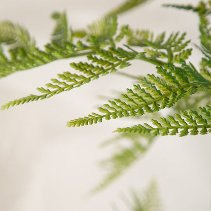 Simulated Plant Decoration Of Blue Jacaranda Potted Green Plants