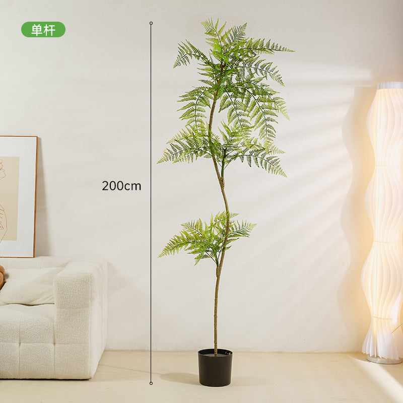 Simulated Plant Decoration Of Blue Jacaranda Potted Green Plants