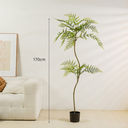 Simulated Plant Decoration Of Blue Jacaranda Potted Green Plants