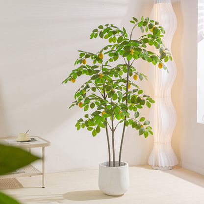 Simulado de Citronarbo Bonsajo Endomaj Falsaj Plantoj