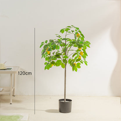 Simulado de Citronarbo Bonsajo Endomaj Falsaj Plantoj