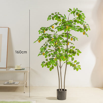 Simulado de Citronarbo Bonsajo Endomaj Falsaj Plantoj