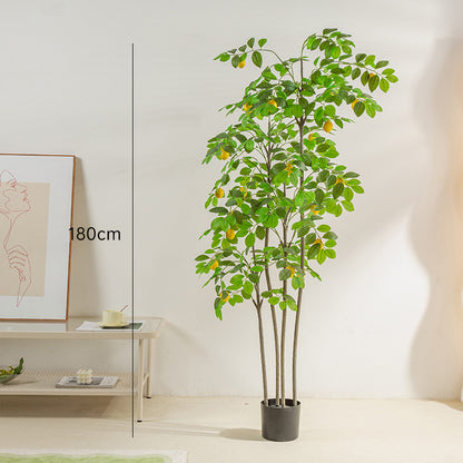 Simulado de Citronarbo Bonsajo Endomaj Falsaj Plantoj