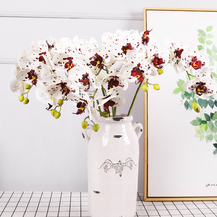 3D Simulation 6-Headed Butterfly Orchid