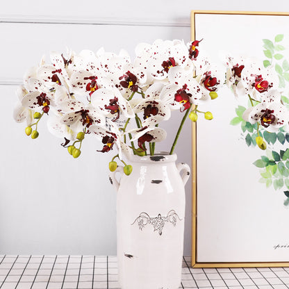 3D Simulation 6-Headed Butterfly Orchid