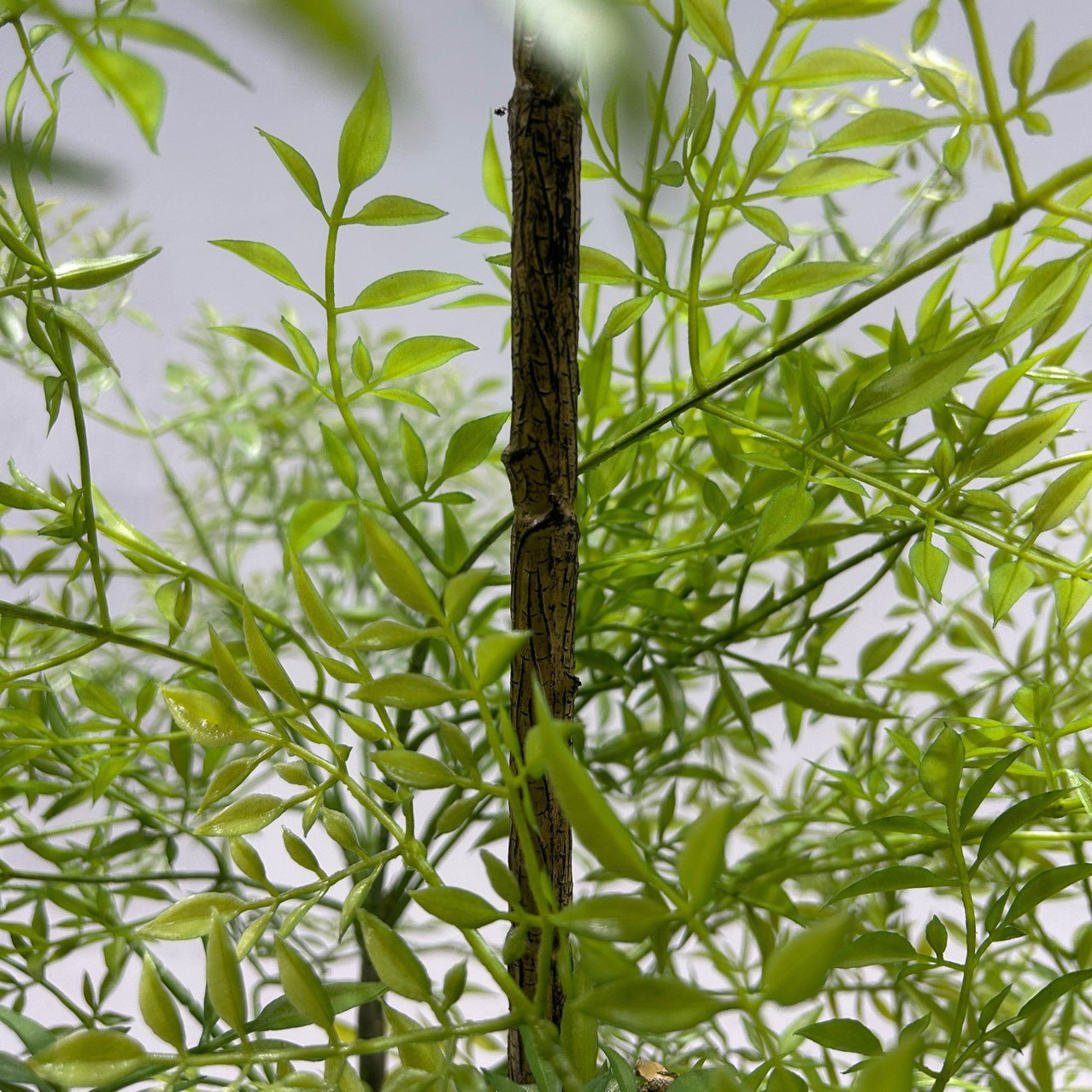 Simulated Plant Nantianzhu Potted Indoor False Green Plant
