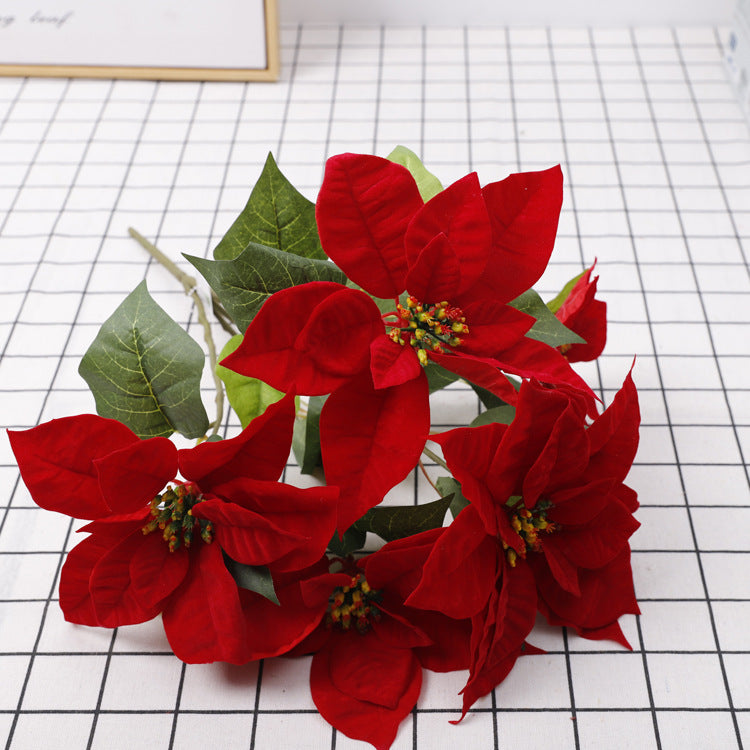 Discover the Enchanting Christmas Flowers