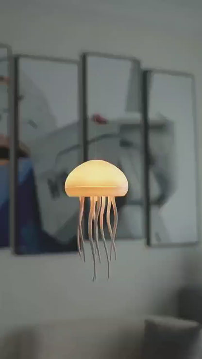 HZ-G07 Induction Jellyfish Light