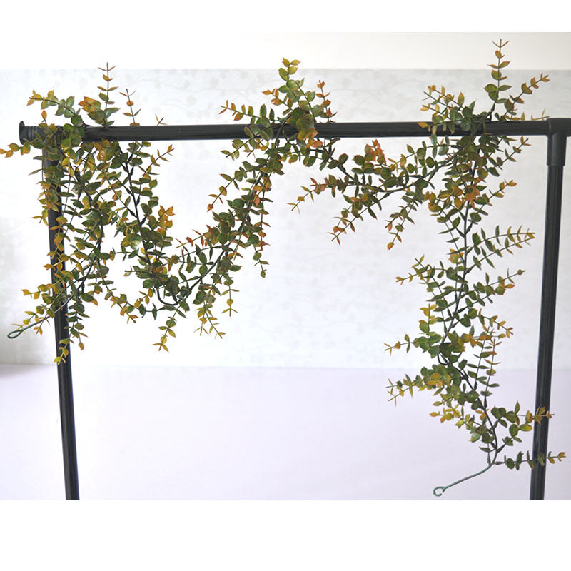 Artificial Eucalyptus Vine Simulation Eucalyptus