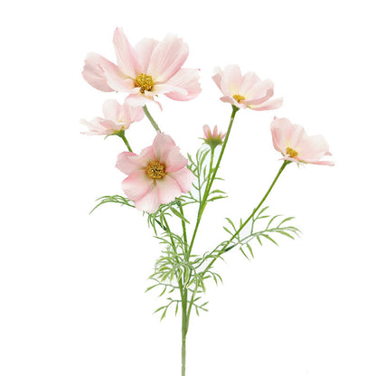 Natural Simulation 62cm Coreopsis Flower