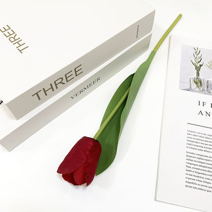 Tulip Simulation Flower With Realistic Single Branch Feel