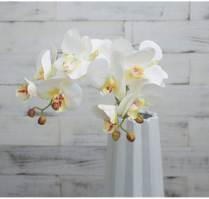 3D Simulation 6-Headed Butterfly Orchid
