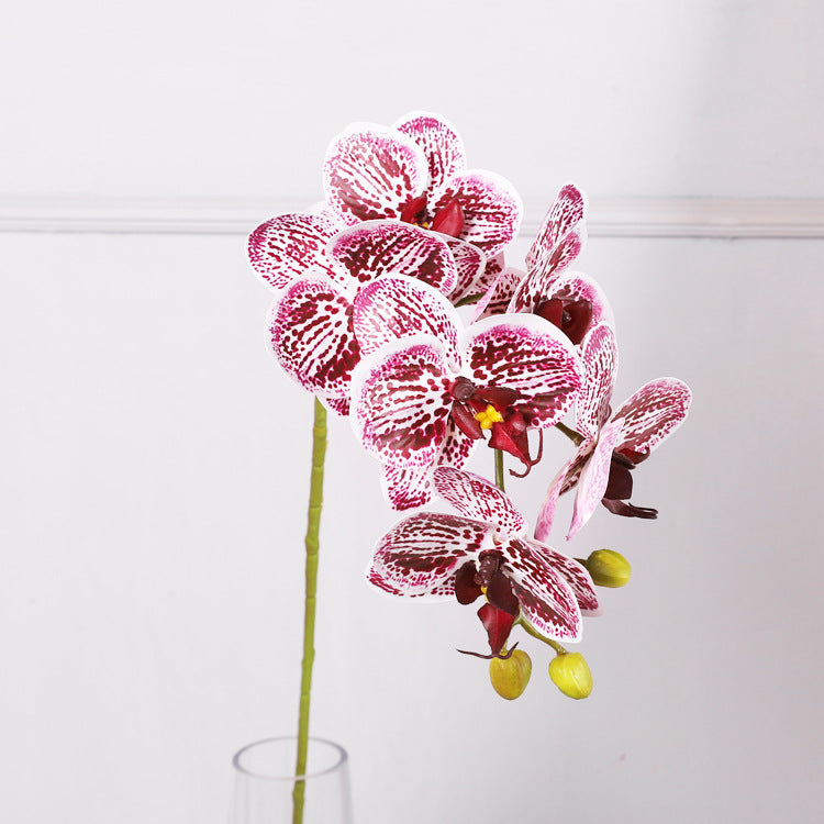 3D Simulation 6-Headed Butterfly Orchid